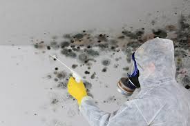 Asbestos and Lead Testing During Mold Inspection in Tornillo, TX